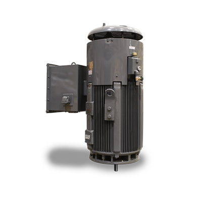 Medium Voltage Motor